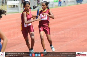 12141084_10154304814504251_5258626405157731880_o 